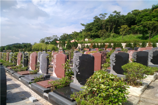 仙友山公墓景观图