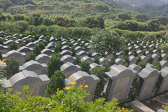 重庆九龙坡区仙友山公墓最新价格多少钱？