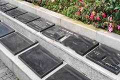 重庆南岸区明月陵园生态葬有哪些？生态葬价格是多少
