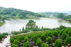 重庆龙居山陵园选墓经历介绍,当时选的生态壁葬价格不到一万