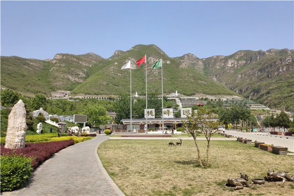桃峰陵园景观图