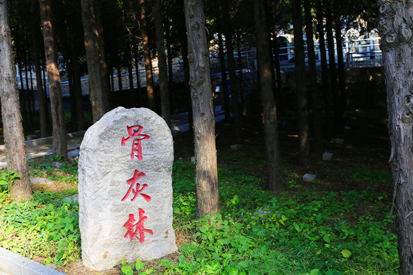 宝云岭墓园