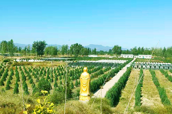 涿州天福园公墓景观图