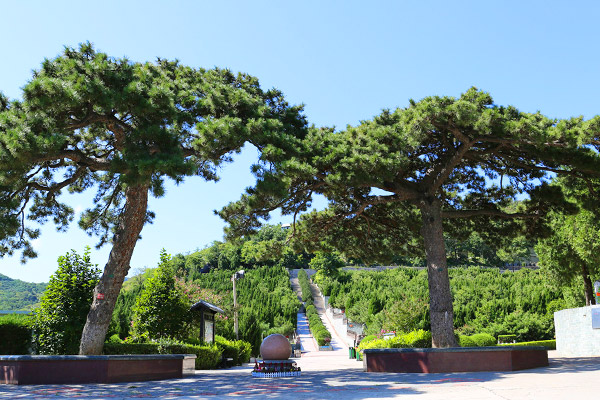 温泉墓园景观图