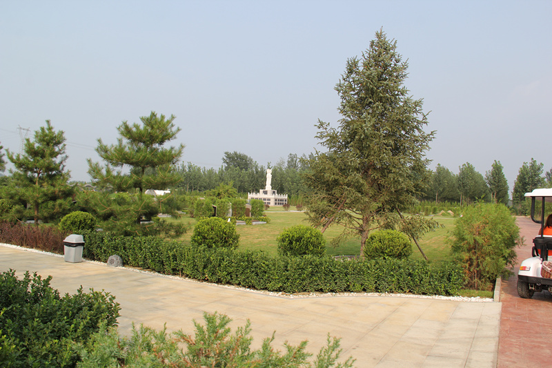 涿州万佛园公墓环境