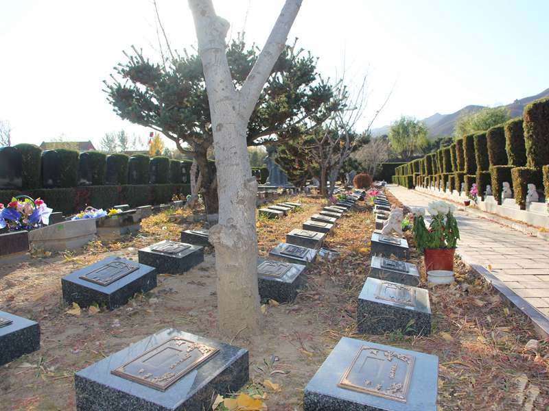 天寿陵园树葬