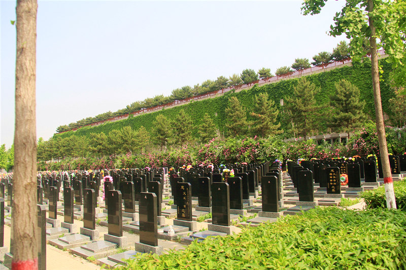 灵山宝塔陵园墓区环境