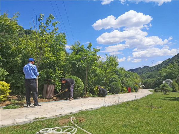 九公山长城纪念林几位园艺师正在路边为小树苗装修新家装修新家