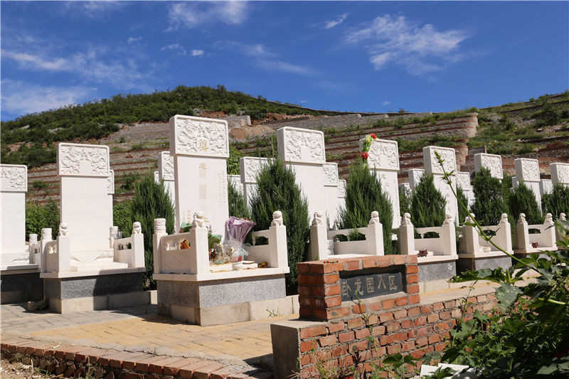 白色墓碑的墓区