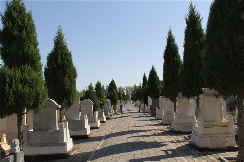 惠灵山陵园墓地图片
