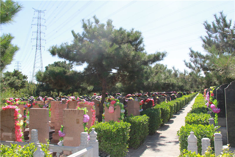 朝阳陵园墓区图片