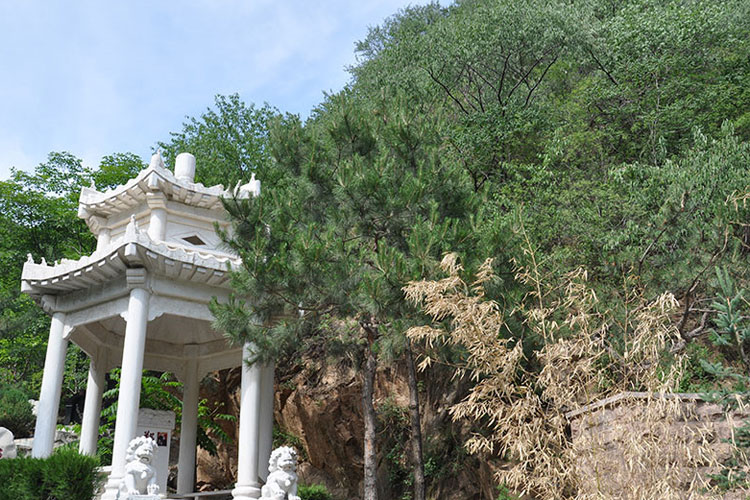 九公山长城纪念林