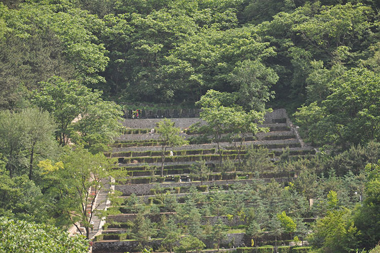 九公山长城纪念林