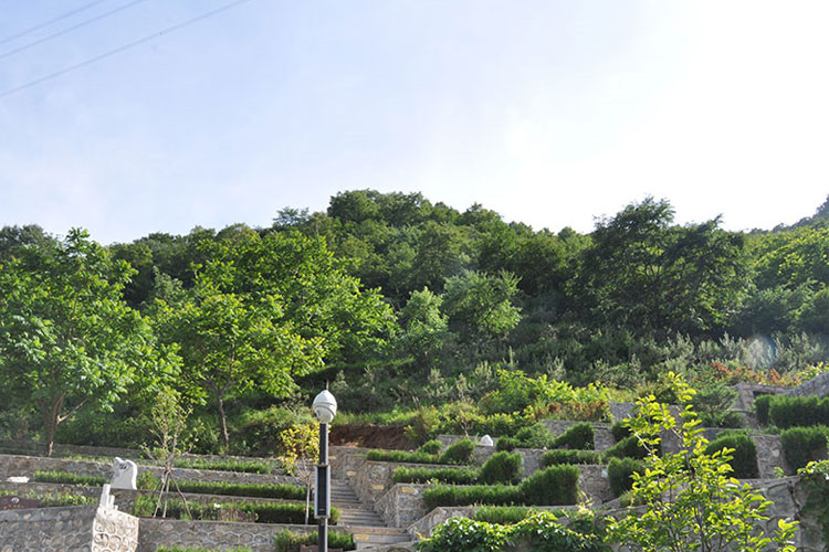 九公山长城纪念林