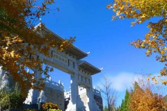秋季大门景象