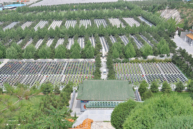 灵山宝塔最便宜的墓地 灵山宝塔最便宜的墓地