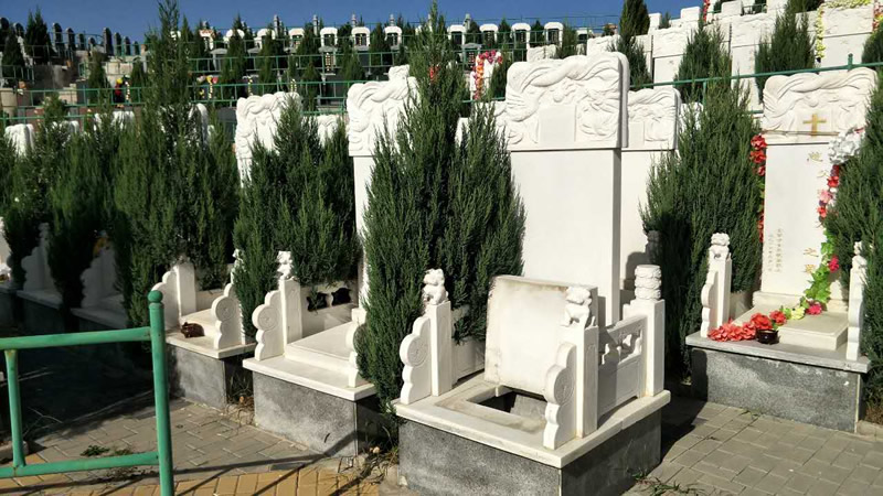 炎黄陵园墓型