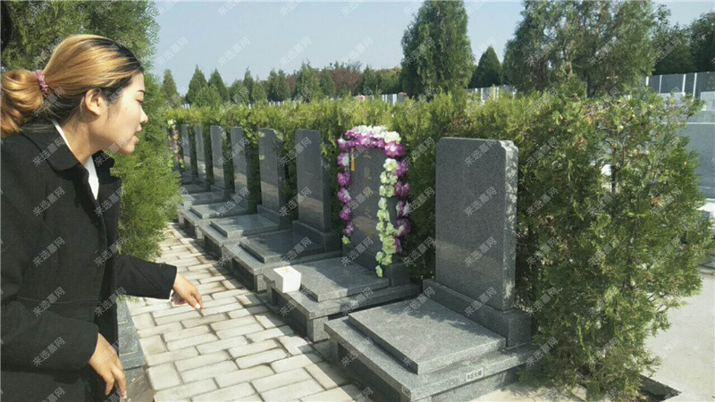 涿州万佛园公墓墓区实景