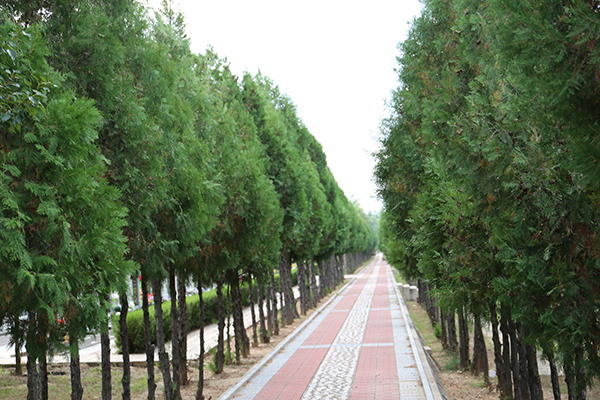 中华永久陵园墓区环境