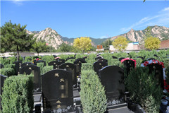 选长安园公墓给上个月刚去世的爷爷做墓地