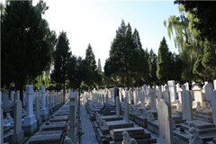 在通惠陵园帮因病去世的老同事推荐墓地