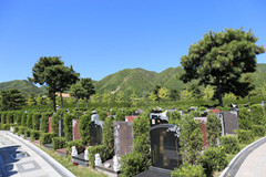 在昌平天寿陵园陪姐姐一起为去世的姐夫选墓地