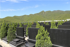 德国媒体评价中国殡葬
