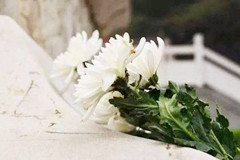 北京市属殡葬服务单位将开展“百万鲜花送逝者”活动