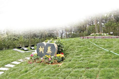 北京树葬陵园有哪些,树葬价格一般多少钱