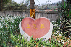 推广生态葬,不妨学学“北京经验”