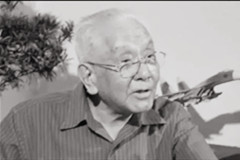 解放军空军原司令员王海上将在北京逝世
