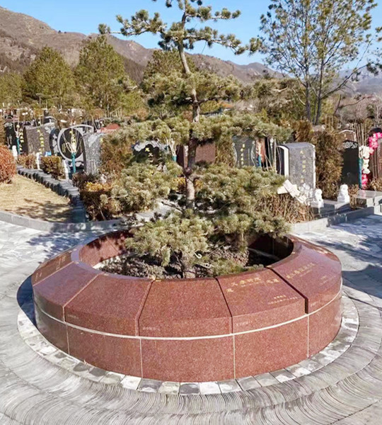选的树葬墓碑