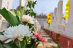 京郊各大陵园推出免费领鲜花,纸钱换鲜花等便民服务