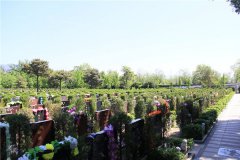 昌平南口镇的天寿陵园生态葬性价比高还是景仰园陵园？