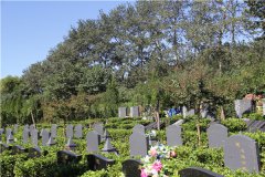 外侨公墓价格,外侨公墓最新立碑价格起步多少钱？