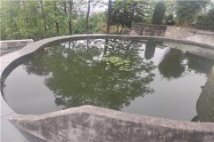 重庆九龙坡墓地,龙台山陵园价格15000元龙居山陵园价格6650元？
