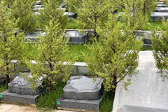 北京景仰园公墓价格2022年最新是多少钱？