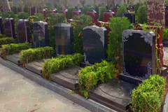 天寿陵园立碑和生态葬价格是多少钱？