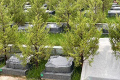 十三陵景仰园墓地价格多少钱一平米？