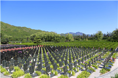 天寿陵园环境墓区一览
