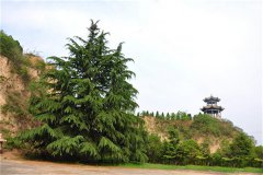 河南郑州市邙山陵园哪个位置好？价格多少？