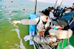 23年2月21号北京市第621次骨灰撒海活动在天津渤海湾举行