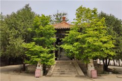 北京昌平墓地,秦城元宝山下的华夏陵园现在什么价格？