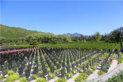 2023北京市昌平华夏陵园墓地价格是多少钱一个？