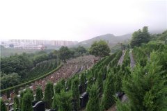 重庆四公里公墓价格、位置、选墓电话
