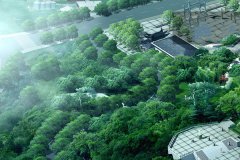 据说在千福山陵园上面可以俯视整个重庆城？这个陵园怎么样啊？