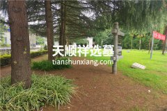 重庆仙居山陵园有哪些园区墓碑在售？价格是多少钱？