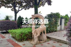 重庆南岸区公墓怎么样-南岸灵安陵园位置地址、合法、简介