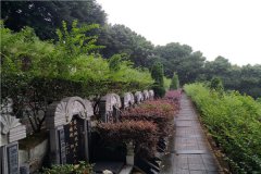 重庆沙坪坝松鹤陵园价格多少钱？树葬、壁葬、立碑价格多少