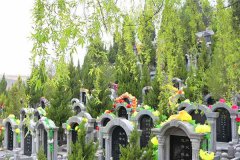 西安凤凰岭公墓正规合法骨灰安葬地，少有的向阳墓园